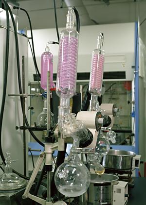 「高品質CBDオイルを自社ブランドで展開するためのOEM活用ガイド」